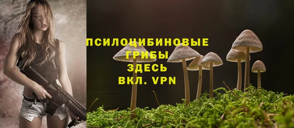 ГАЛЛЮЦИНОГЕННЫЕ ГРИБЫ Беломорск