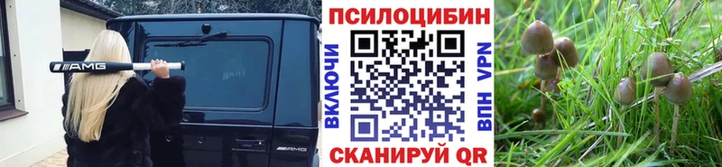 купить закладку  Печора  Галлюциногенные грибы Magic Shrooms 